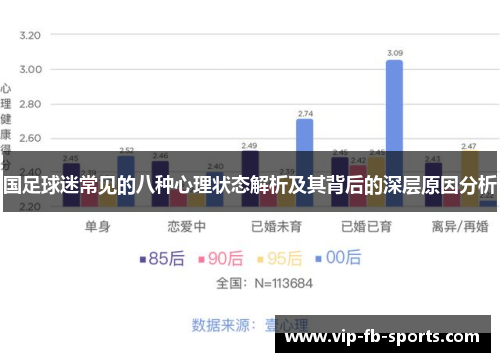 国足球迷常见的八种心理状态解析及其背后的深层原因分析