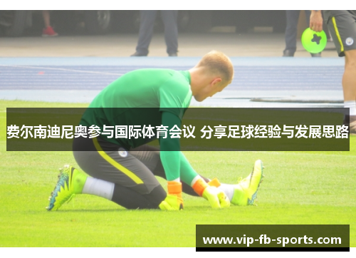 费尔南迪尼奥参与国际体育会议 分享足球经验与发展思路 费尔南迪尼奥参与国际体育会议 分享足球经验与发展思路