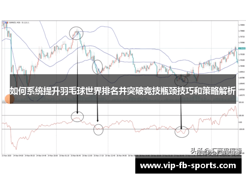 如何系统提升羽毛球世界排名并突破竞技瓶颈技巧和策略解析