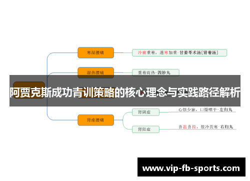 阿贾克斯成功青训策略的核心理念与实践路径解析