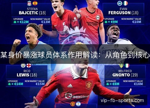某身价暴涨球员体系作用解读:从角色到核心 某身价暴涨球员体系作用解读:从角色到核心